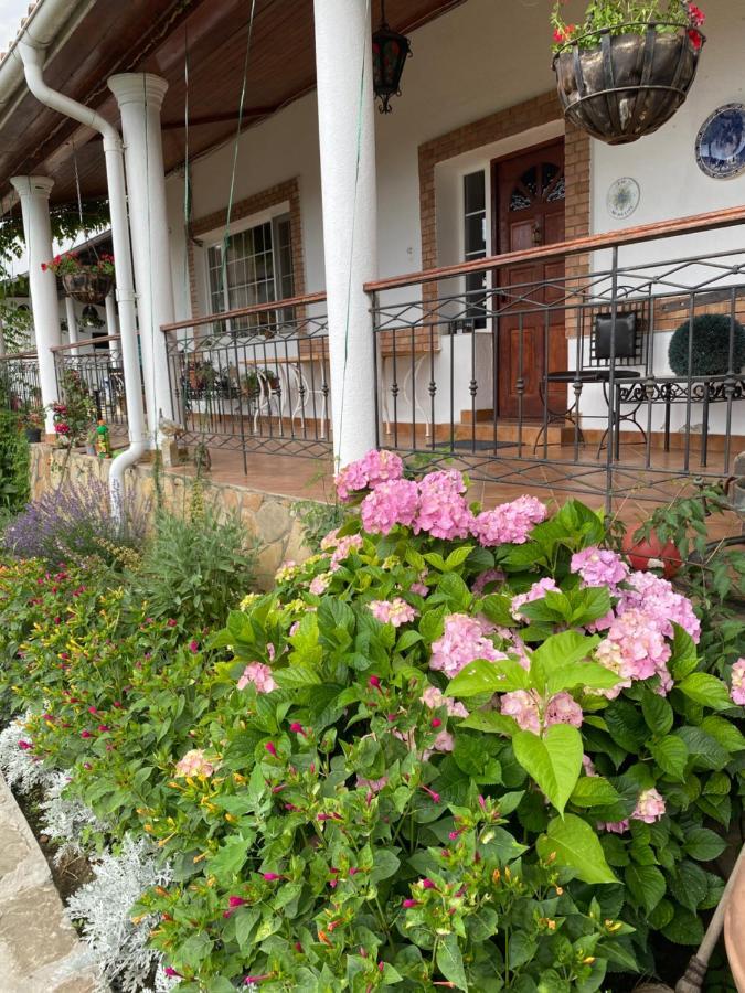 Country Club La Mesteceni Sebeş Εξωτερικό φωτογραφία